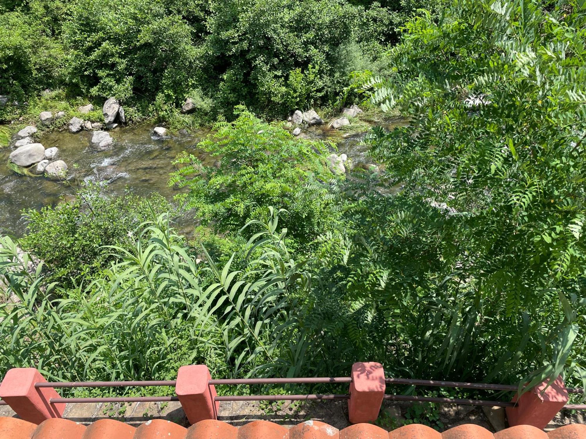 Agriturismo Del Gao Isolabona Екстериор снимка